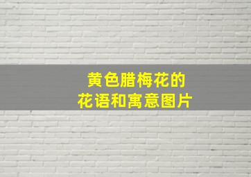 黄色腊梅花的花语和寓意图片