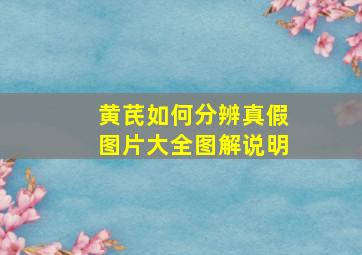 黄芪如何分辨真假图片大全图解说明