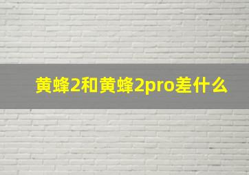 黄蜂2和黄蜂2pro差什么