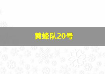 黄蜂队20号