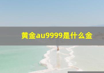 黄金au9999是什么金