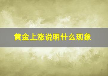 黄金上涨说明什么现象