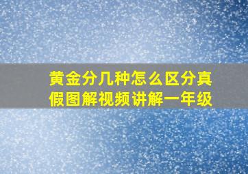 黄金分几种怎么区分真假图解视频讲解一年级