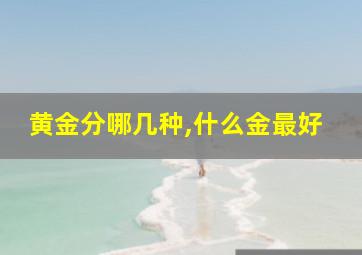 黄金分哪几种,什么金最好