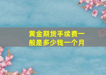 黄金期货手续费一般是多少钱一个月