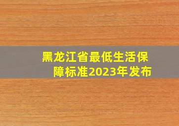 黑龙江省最低生活保障标准2023年发布