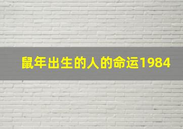 鼠年出生的人的命运1984