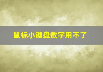 鼠标小键盘数字用不了