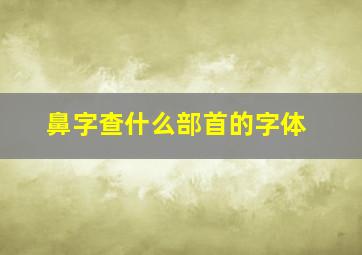 鼻字查什么部首的字体