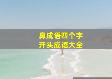 鼻成语四个字开头成语大全