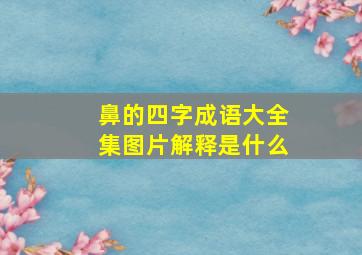 鼻的四字成语大全集图片解释是什么