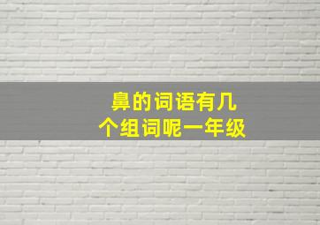 鼻的词语有几个组词呢一年级