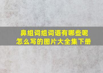 鼻组词组词语有哪些呢怎么写的图片大全集下册