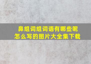 鼻组词组词语有哪些呢怎么写的图片大全集下载