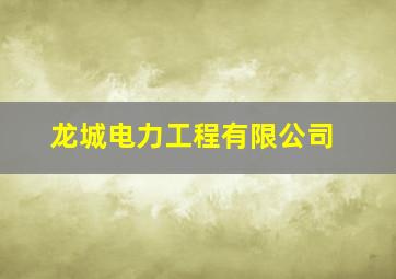 龙城电力工程有限公司