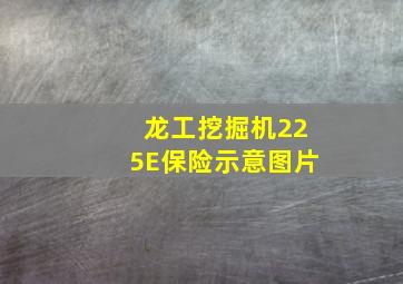 龙工挖掘机225E保险示意图片