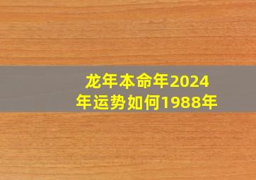 龙年本命年2024年运势如何1988年