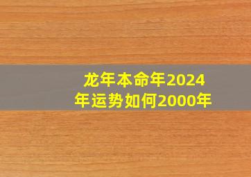 龙年本命年2024年运势如何2000年