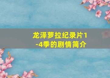 龙泽萝拉纪录片1-4季的剧情简介