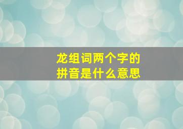 龙组词两个字的拼音是什么意思