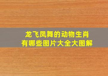 龙飞凤舞的动物生肖有哪些图片大全大图解