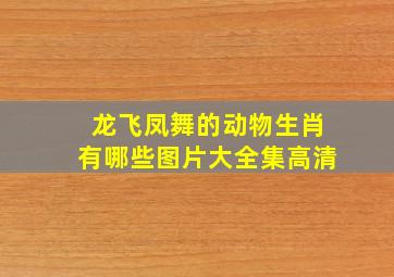 龙飞凤舞的动物生肖有哪些图片大全集高清