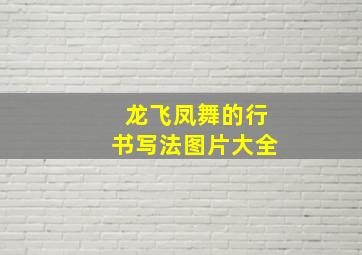 龙飞凤舞的行书写法图片大全