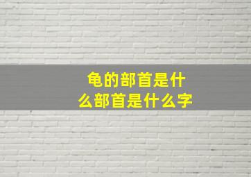 龟的部首是什么部首是什么字