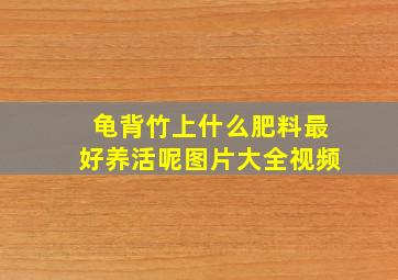 龟背竹上什么肥料最好养活呢图片大全视频