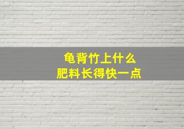 龟背竹上什么肥料长得快一点