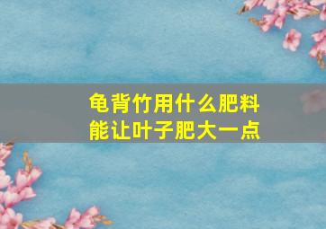 龟背竹用什么肥料能让叶子肥大一点